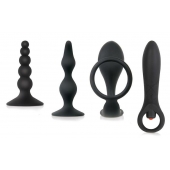 Набор стимуляторов простаты Intro To Prostate Kit - Zero Tolerance - в Абакане купить с доставкой