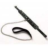 Черный ошейник с шипами и поводком - Crazy Handmade - купить с доставкой в Абакане