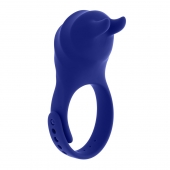 Синее эрекционное виброкольцо с клиторальной подушечкой и пультом ДУ Adjustable Fun Ring - Zero Tolerance - в Абакане купить с доставкой