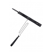 Кожаный двухслойный ошейник с белой строчкой и поводком - Pecado - купить с доставкой в Абакане