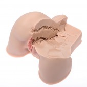 Мастурбатор-полуторс Naked Factory Kate - Naked Factory - в Абакане купить с доставкой