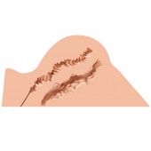 Мастурбатор-полуторс Naked Factory Hannah - Naked Factory - в Абакане купить с доставкой