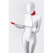 Красный ошейник с подкладкой из меха - ToyFa - купить с доставкой в Абакане