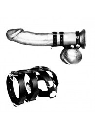 Комбинированное двойное кольцо с разделителем для мошонки и поводком - BlueLine - купить с доставкой в Абакане