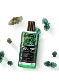 Массажное масло WARMup Mint с ароматом мяты - 150 мл. - Joy Division - купить с доставкой в Абакане
