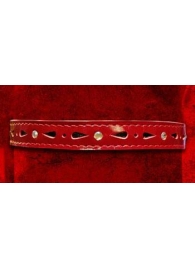 Красный декоративный ошейник со стразами - Подиум - купить с доставкой в Абакане