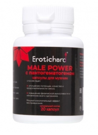 Капсулы для мужчин Erotichard male power с пантогематогеном - 20 капсул (0,370 гр.) - Erotic Hard - купить с доставкой в Абакане