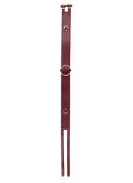 Бордовый ремень Halo Waist Belt - размер L-XL - Shots Media BV - купить с доставкой в Абакане