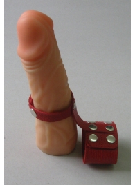 Красный кожаный поводок на пенис с кнопками - Sitabella - купить с доставкой в Абакане