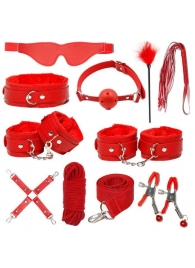 Красный БДСМ-набор «Оки-Чпоки» из 11 предметов - Сима-Ленд - купить с доставкой в Абакане