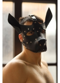 Эффектная маска собаки с металлическими заклепками - БДСМ Арсенал - купить с доставкой в Абакане