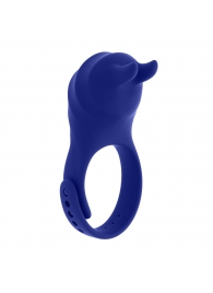 Синее эрекционное виброкольцо с клиторальной подушечкой и пультом ДУ Adjustable Fun Ring - Zero Tolerance - в Абакане купить с доставкой