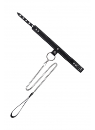 Черный узкий однослойный ошейник с серебристым поводком-цепочкой - Pecado - купить с доставкой в Абакане