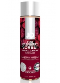 Лубрикант на водной основе с ароматом малины JO Flavored Raspberry Sorbet - 120 мл. - System JO - купить с доставкой в Абакане