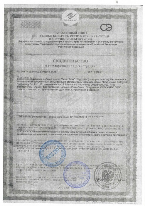 БАД для мужчин  Вигор Али+  - 10 капсул (0,3 гр.) - ФИТО ПРО - купить с доставкой в Абакане