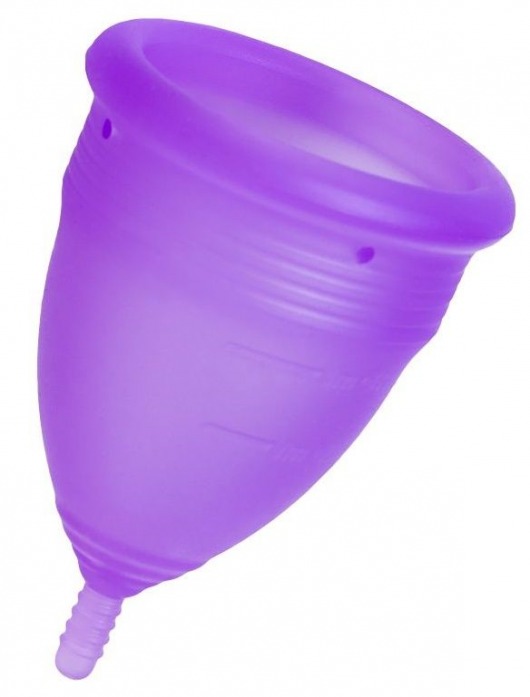 Фиолетовая менструальная чаша Lila S - Eromantica - купить с доставкой в Абакане