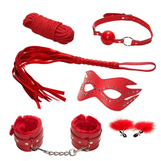 Эротический набор БДСМ из 6 предметов в красном цвете - Rubber Tech Ltd - купить с доставкой в Абакане