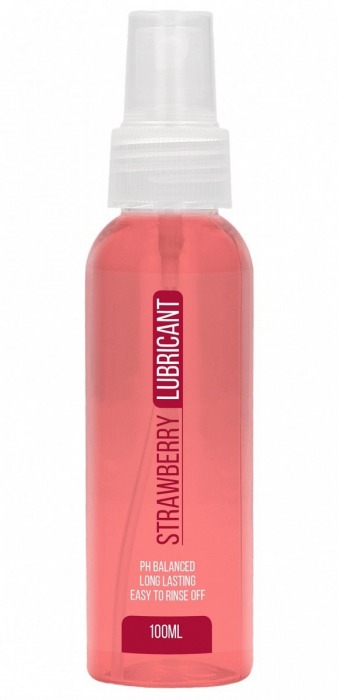 Лубрикант на водной основе с ароматом клубники Strawberry Lubricant - 100 мл. - Shots Media BV - купить с доставкой в Абакане