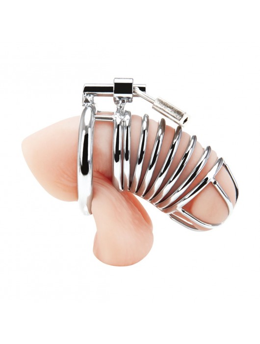 Металлическая клетка Deluxe Сhastity Сage с замком - BlueLine - купить с доставкой в Абакане