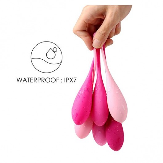 Набор из 6 розовых вагинальных шариков FemmeFit Pelvic Muscle Training Set - FeelzToys
