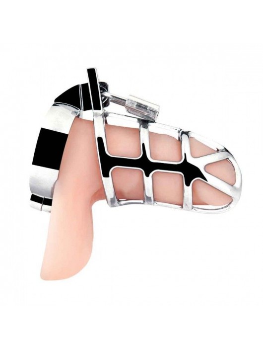 Серебристая металлическая клетка для члена с замком Enslave Cock Cage - BlueLine - купить с доставкой в Абакане