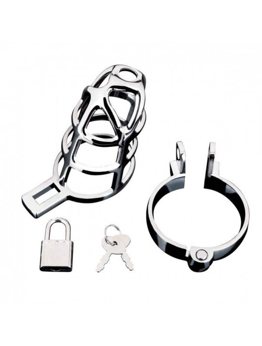 Серебристая металлическая клетка для члена с замком Enslave Cock Cage - BlueLine - купить с доставкой в Абакане