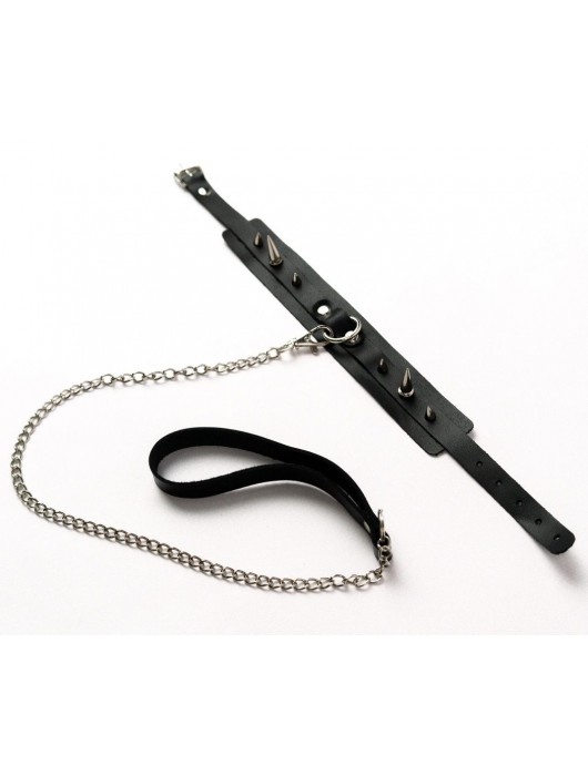 Черный ошейник с шипами и поводком - Crazy Handmade - купить с доставкой в Абакане