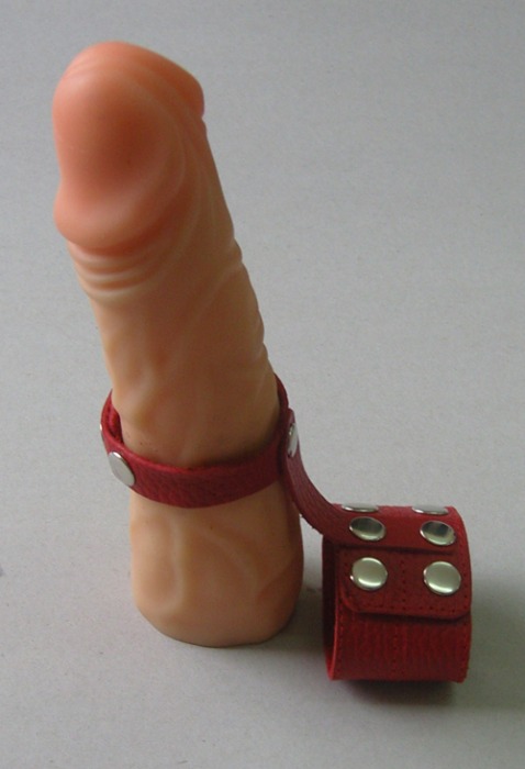 Красный кожаный поводок на пенис с кнопками - Sitabella - купить с доставкой в Абакане