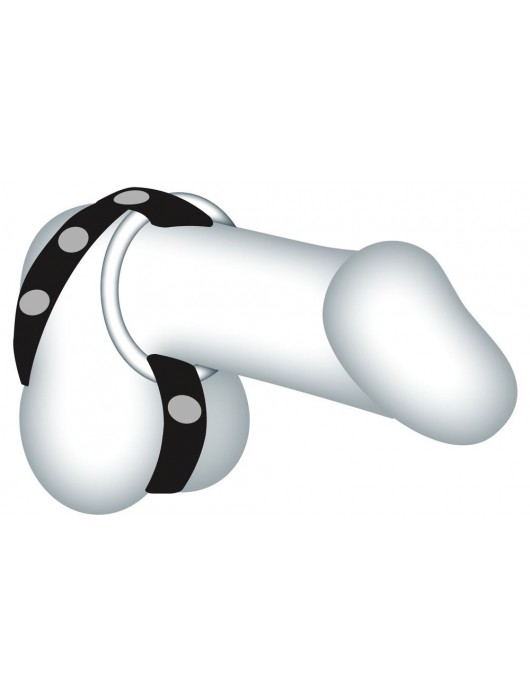 Подхват для мошонки с 3 съемными эрекционными кольцами Leder-Riemen - Orion - в Абакане купить с доставкой