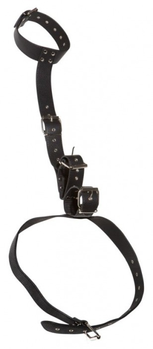 Фиксация на шею и запястья Bad Kitty Neck and Hand Restraints - Orion - купить с доставкой в Абакане