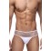 Мужские трусы с прозрачной вставкой на поясе - La Blinque купить с доставкой