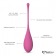 Набор из 6 розовых вагинальных шариков FemmeFit Pelvic Muscle Training Set - FeelzToys