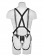 Страпон-система с телесной насадкой 12  Hollow Strap-On Suspender System - 30 см. - Pipedream - купить с доставкой в Абакане